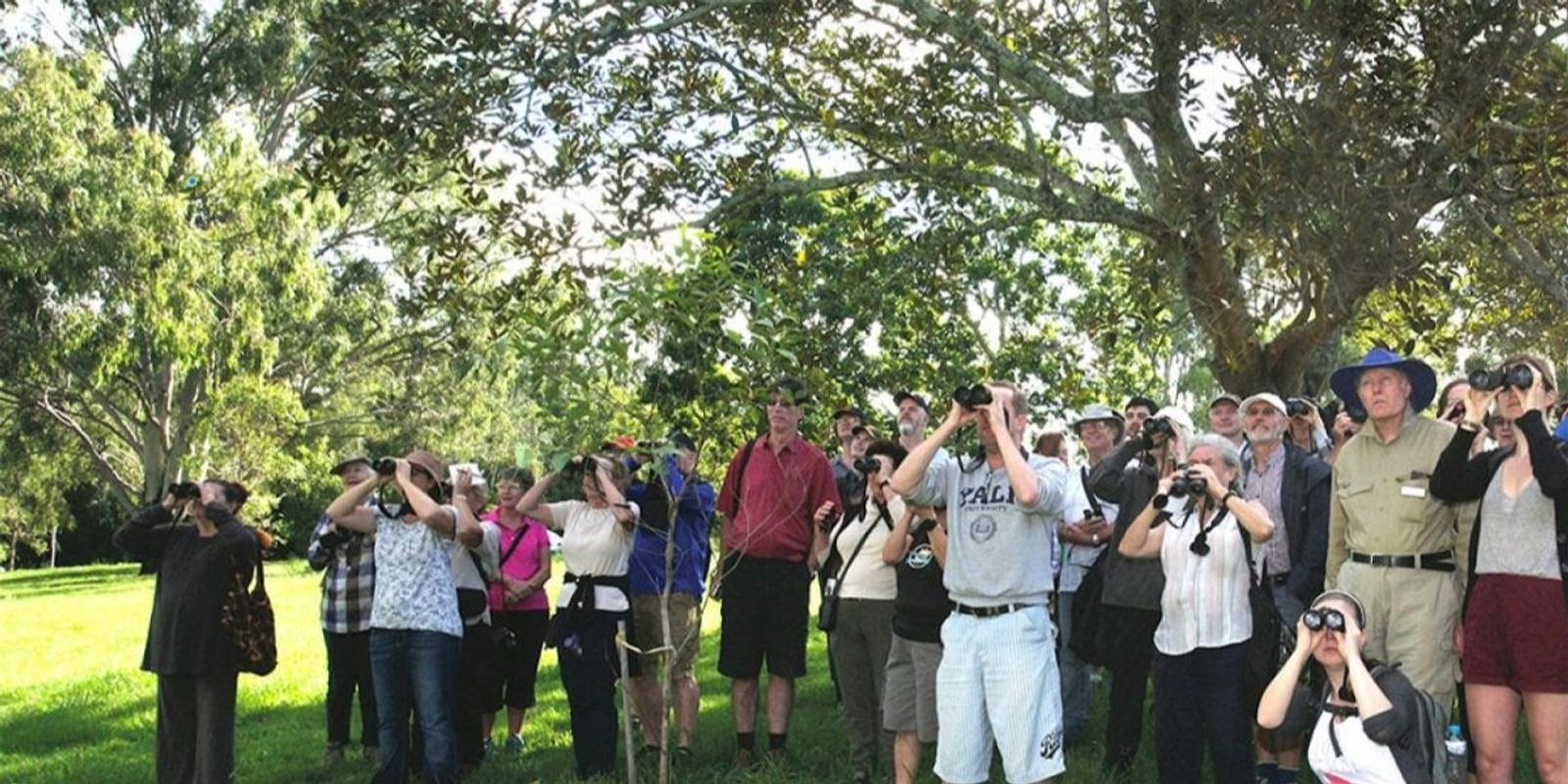 Banner image for FOOCC Aug 2024 Bird Walk with Prof. Hugh Possingham