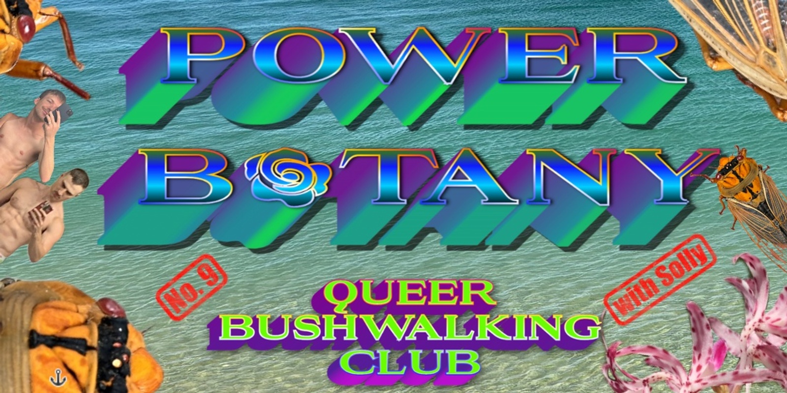 Banner image for Power Botany 9: Werrong Beach