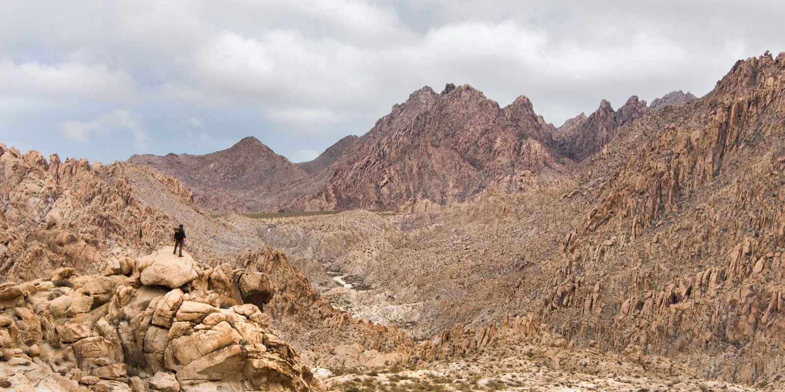 Banner image for Cultural Landscapes and Indigenous Food Ways of the CA Desert (UCRX, 1 Unit)