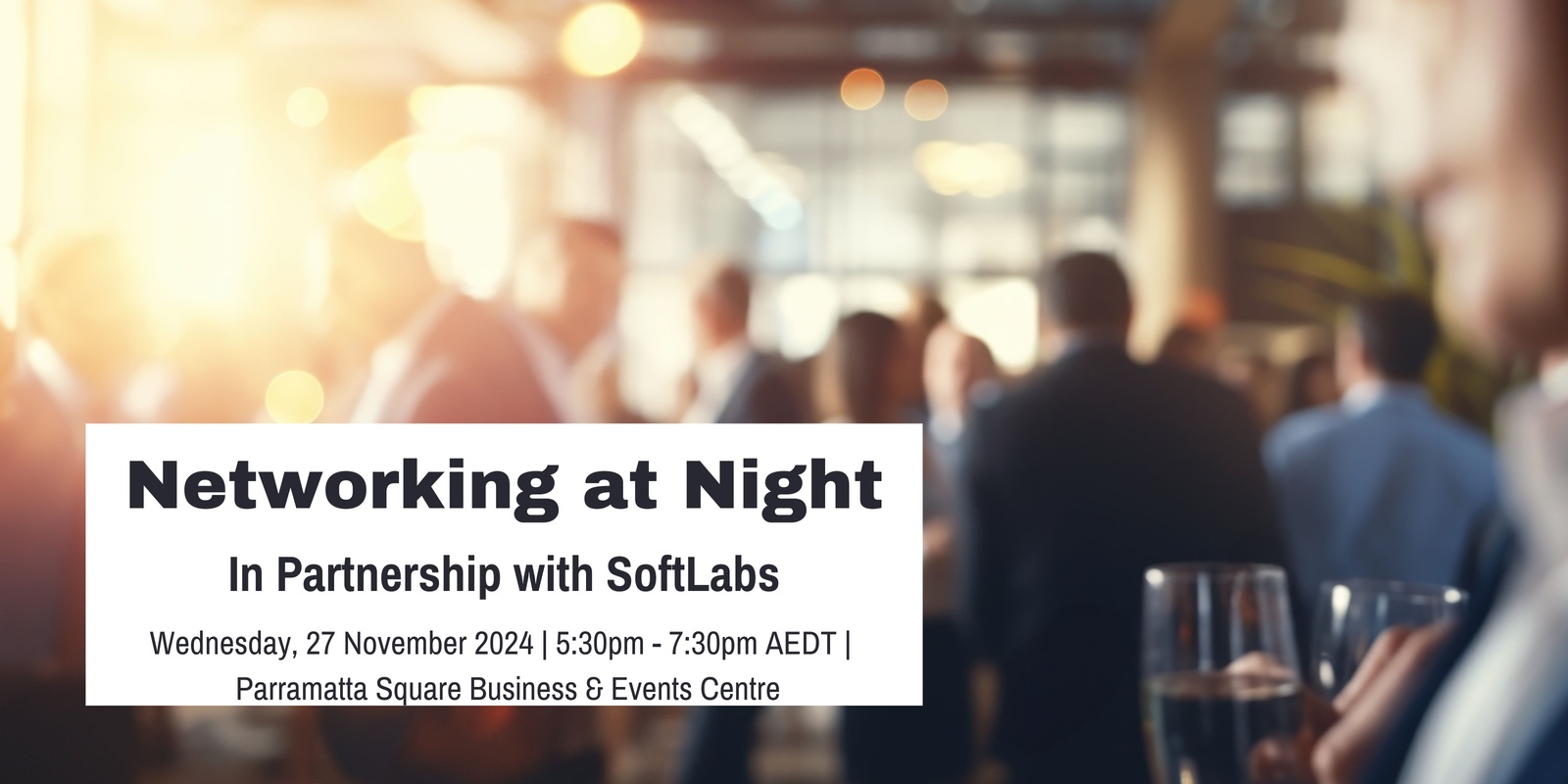 Banner image for Networking Event in partnership with Softlabs