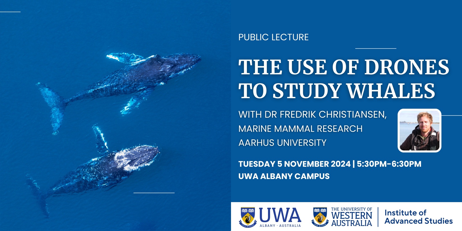 Banner image for  The Use of Drones to Study Whales