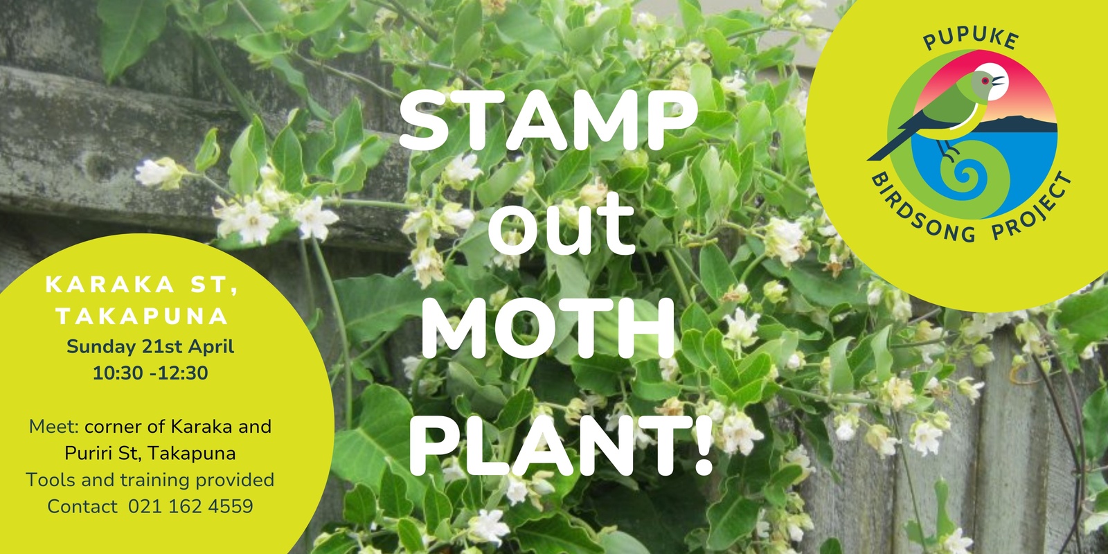 Banner image for STAMP out Moth Plant - Takapuna