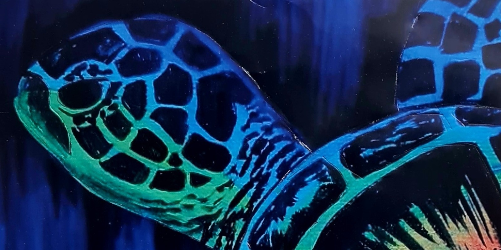 Banner image for Turtle Day Paint'n'Sip