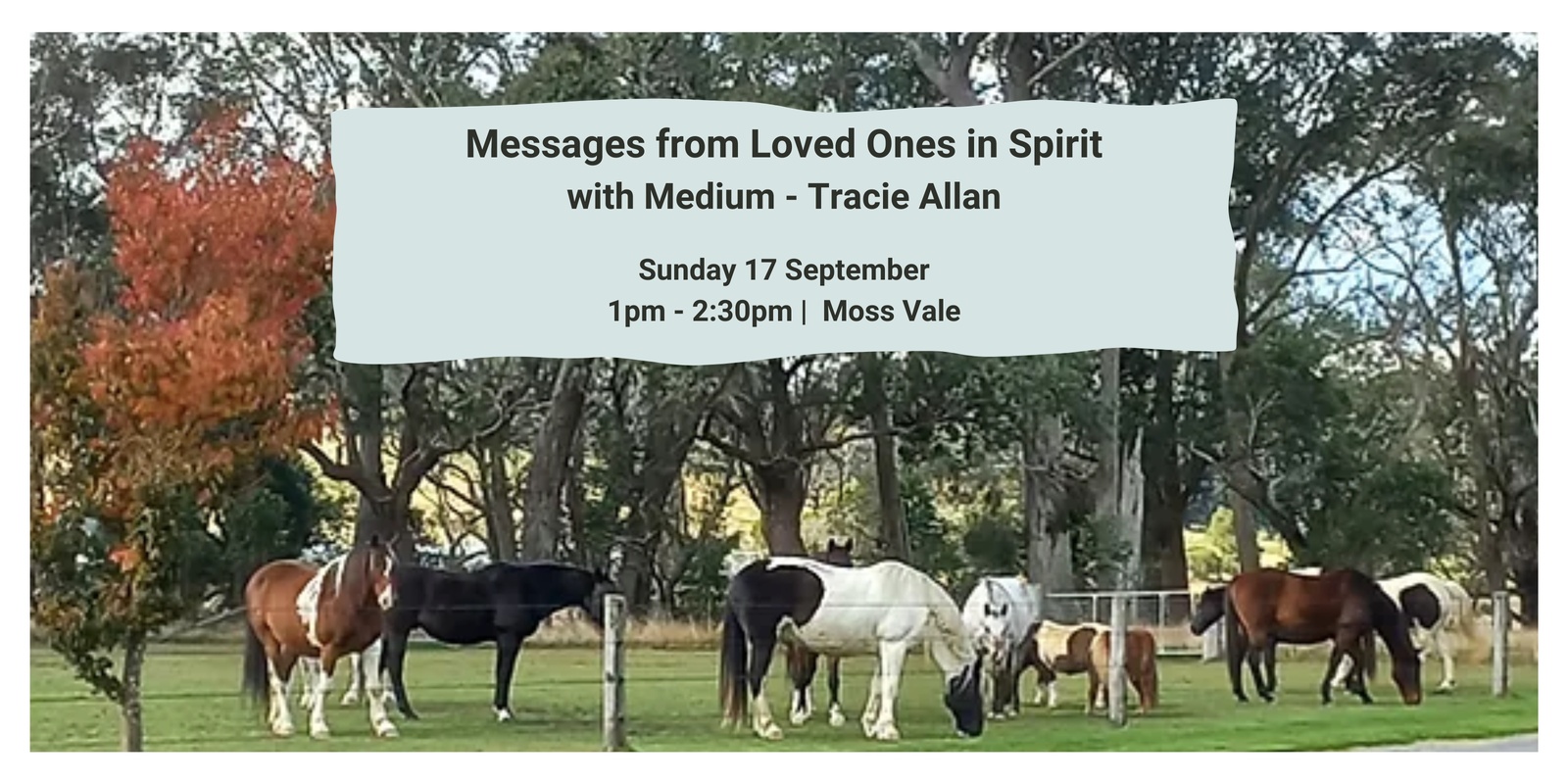 Banner image for Messages from Loved Ones in Spirit - with Medium Tracie Allan
