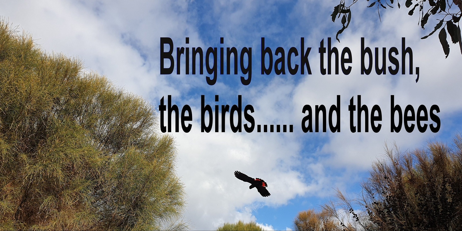 Banner image for Bringing back the bush, the birds... and the bees