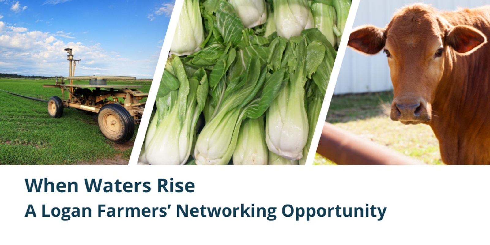 Banner image for When Waters Rise - A Logan Farmers' Networking Opportunity 