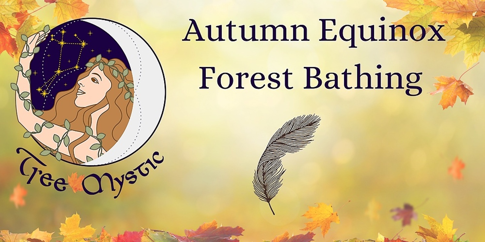 Banner image for Autumn Equinox Forest Bathing Immersion