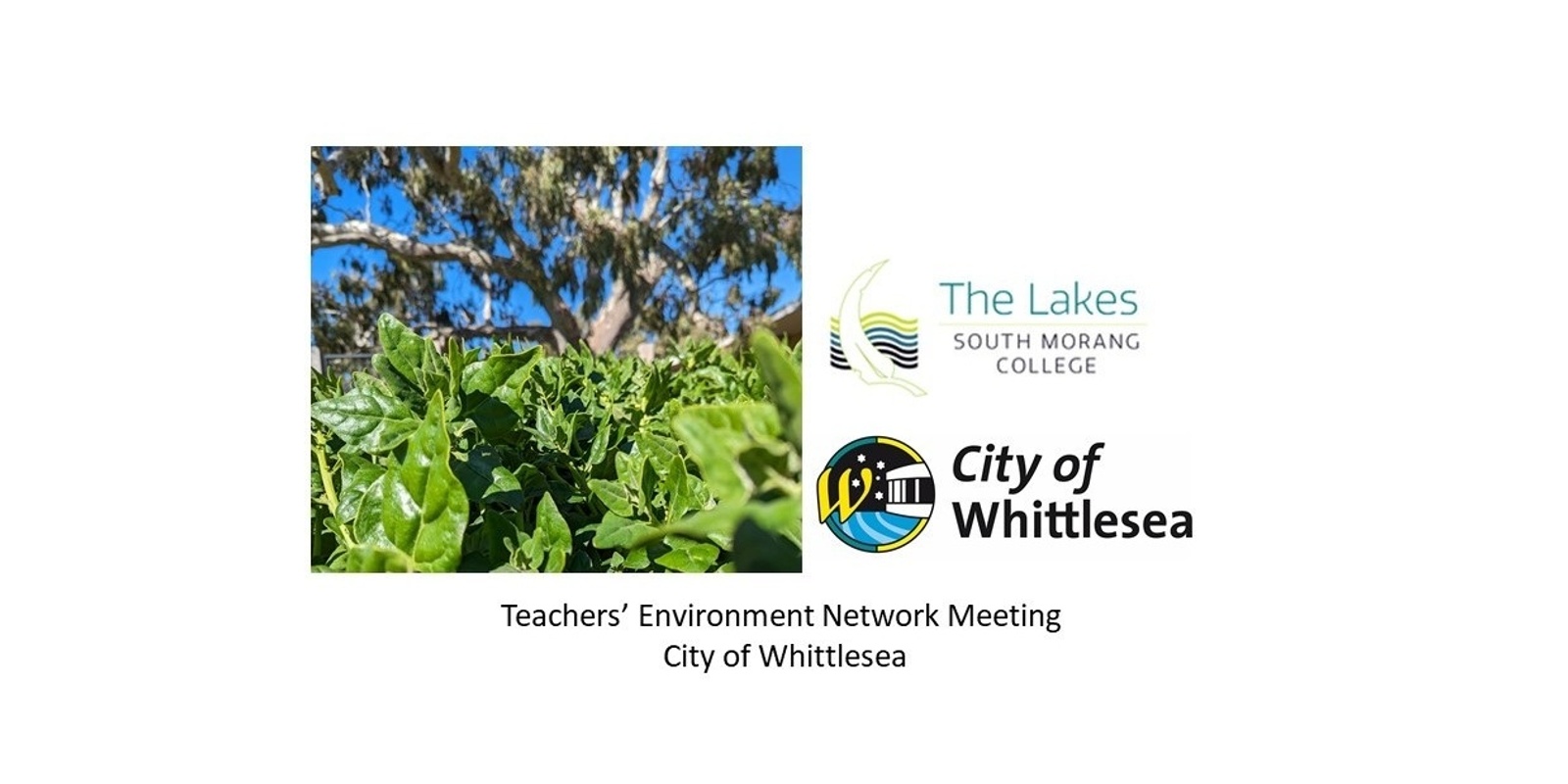 Banner image for Teachers' Environment Network Meeting @ the Lakes South Morang College- City of Whittlesea