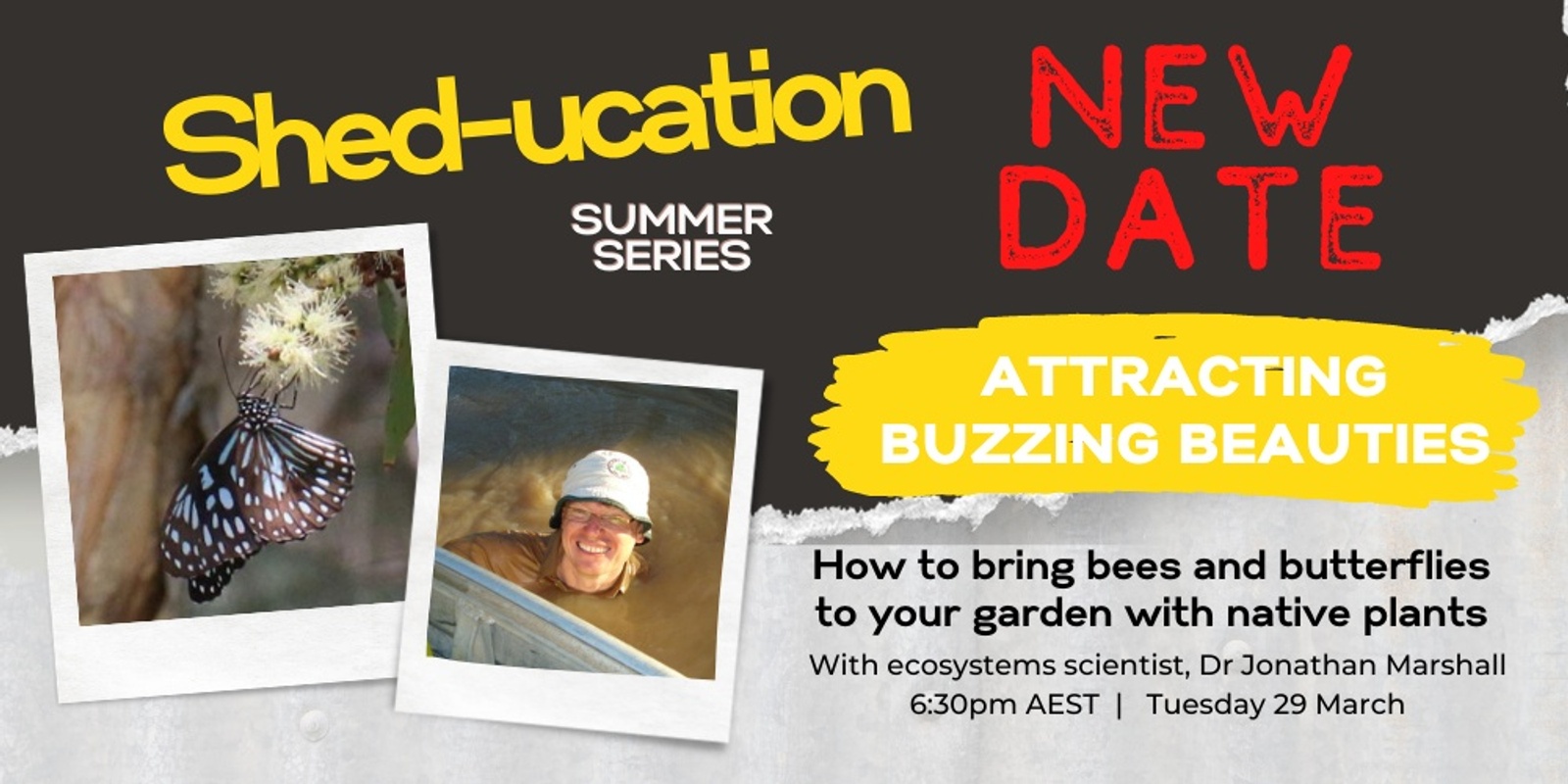 Banner image for Bringing butterflies to your garden| Sheducation Summer Series