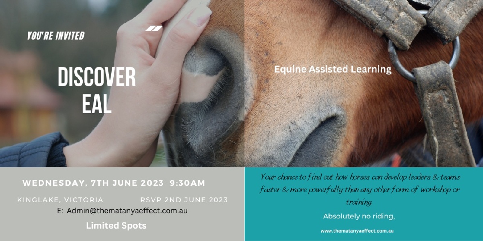 Banner image for Equine Assisted Learning, professional Open Morning with Karen and co