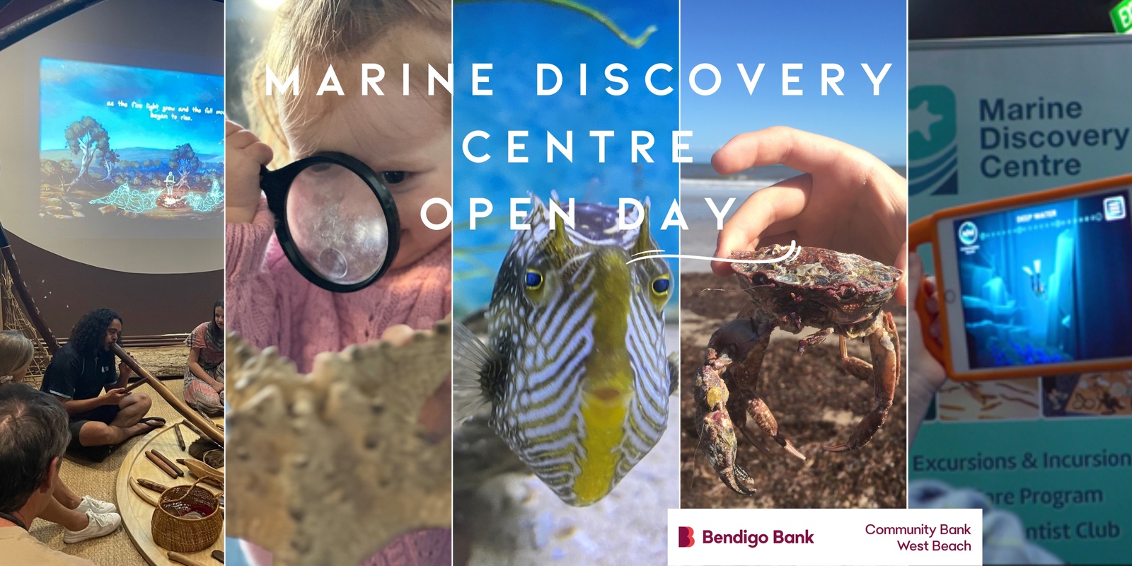 Banner image for Community Open Day at the Marine Discovery Centre