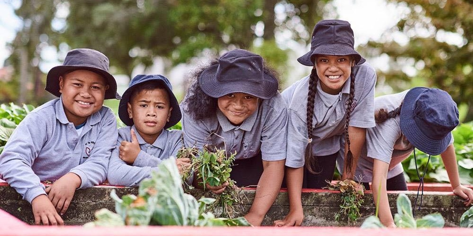 Garden to Table Trust 's banner