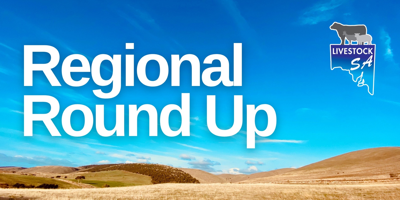 Banner image for Regional Round Up Robe 2024