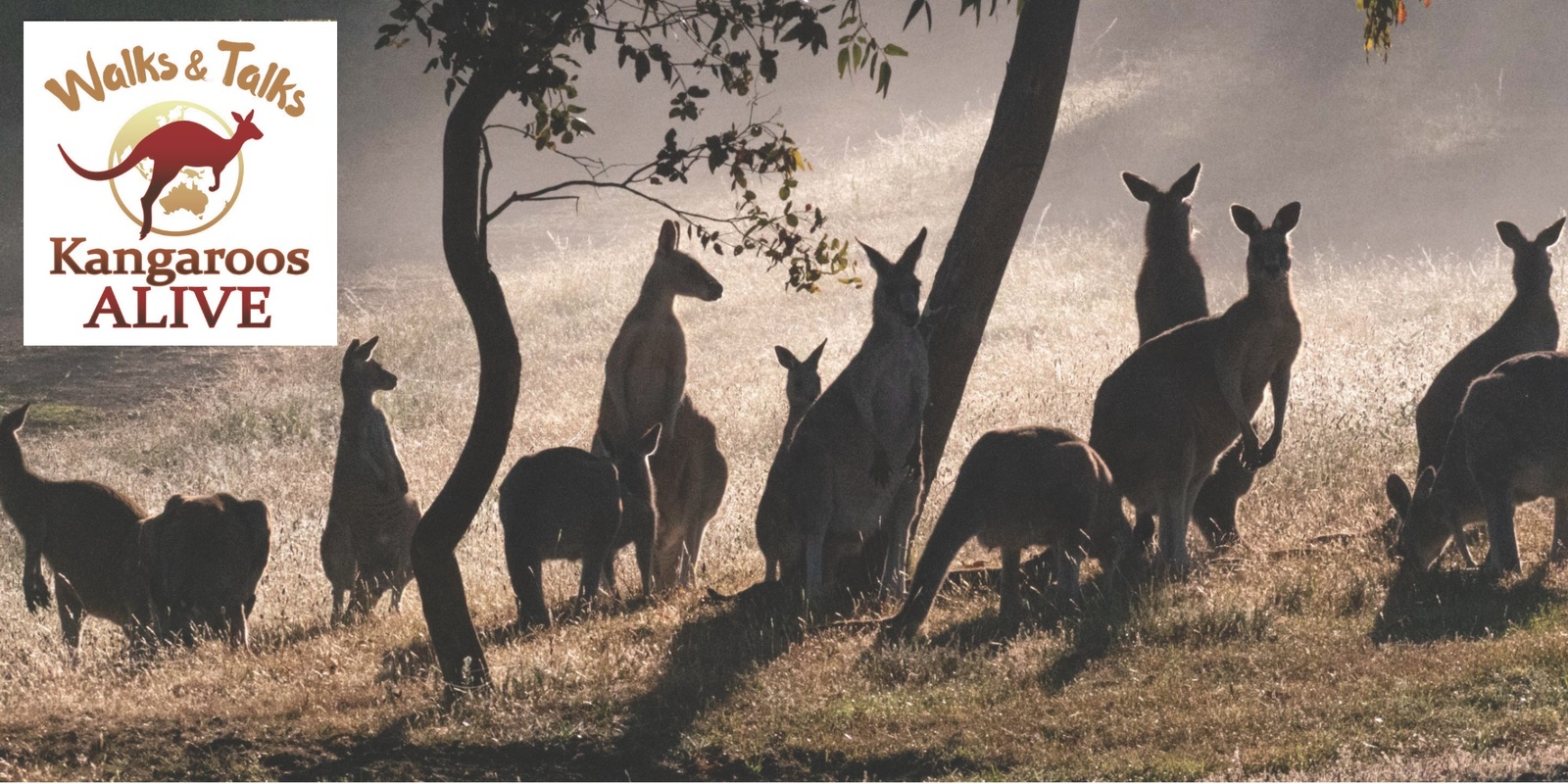 Banner image for World Kangaroo Day Walk & Talk PLUS Documentary Screening