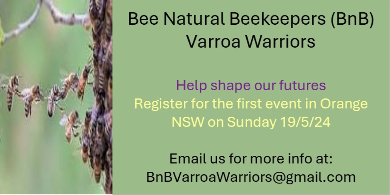 Banner image for Bee Natural Beekeepers (BnB) - Varroa Warriors (Australia)