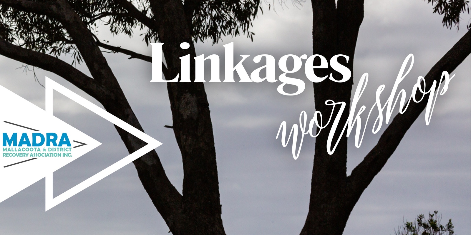 Banner image for Linkages Workshop - Mallacoota and District Community