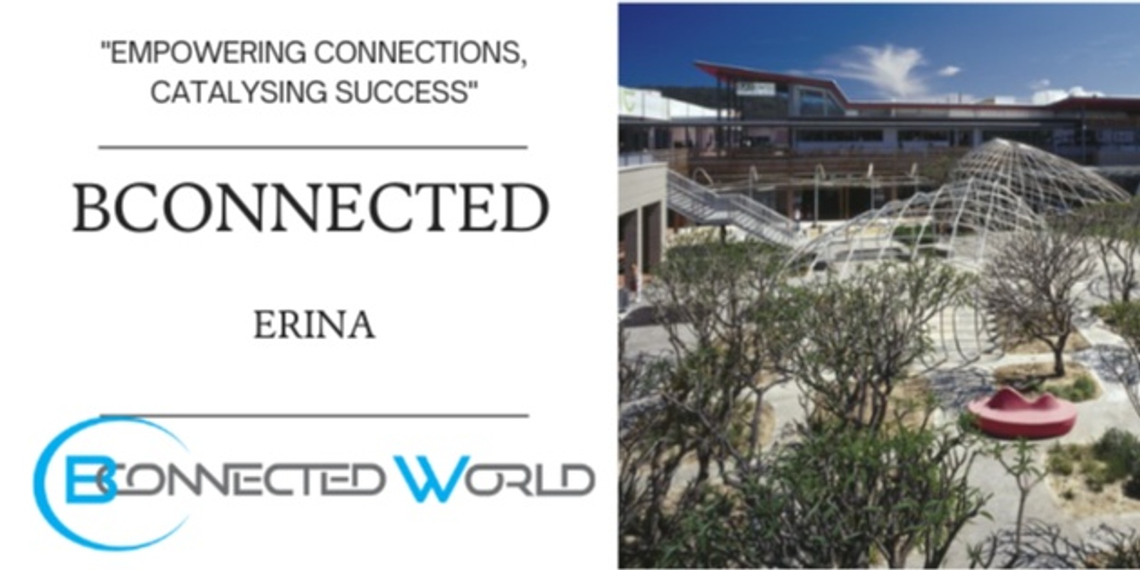 Banner image for Bconnected Networking Erina NSW