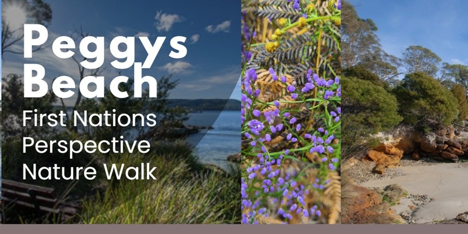 Banner image for Peggys Beach - First Nations Perspective Nature Walk