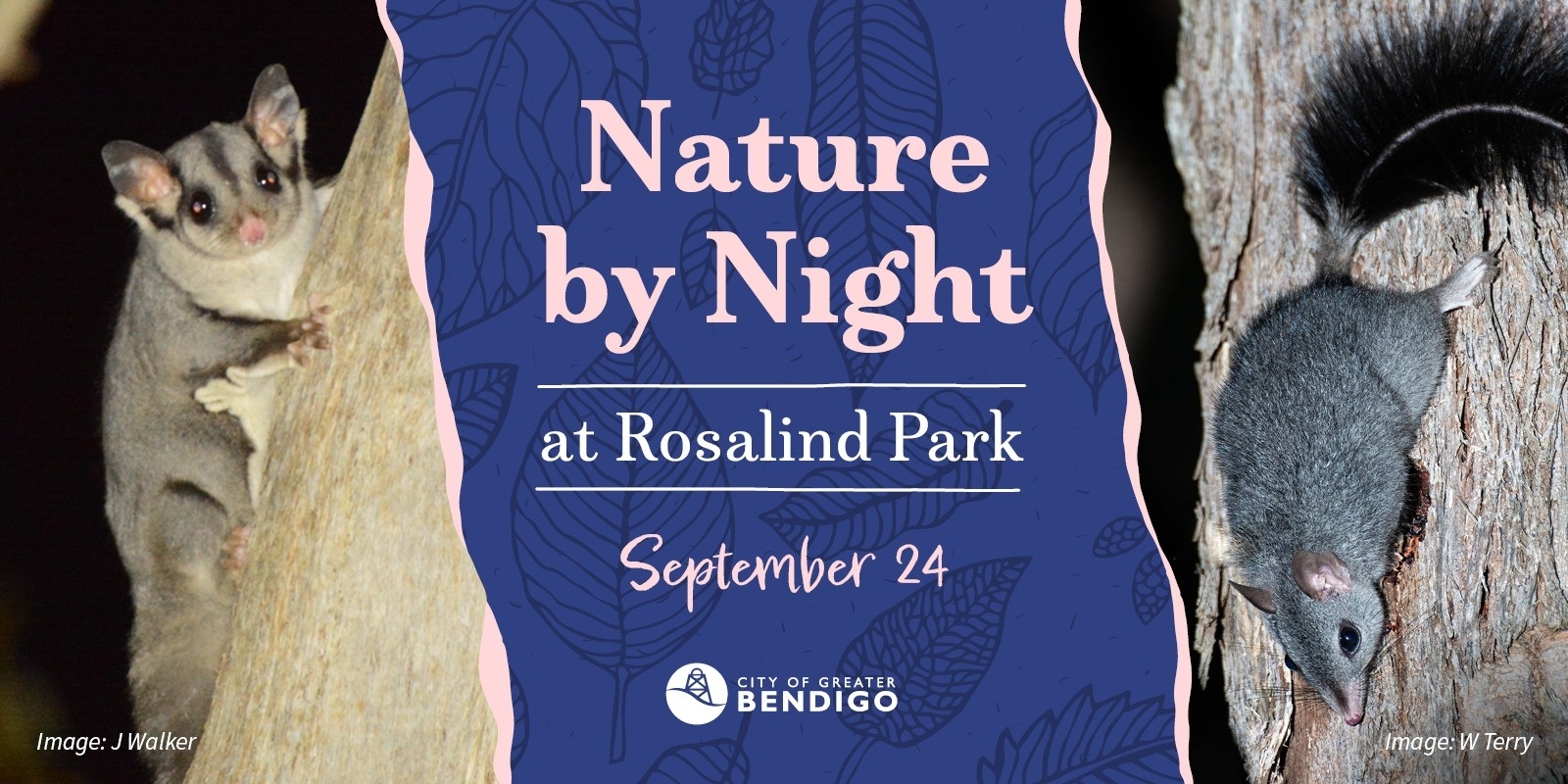 Banner image for Nature by Night at Rosalind Park