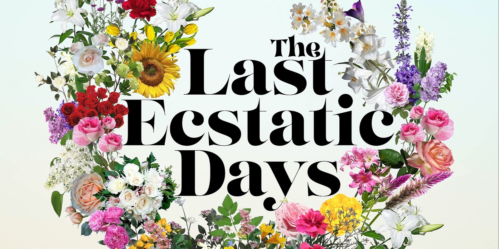 Banner image for Last Ecstatic Days Screening & Chat