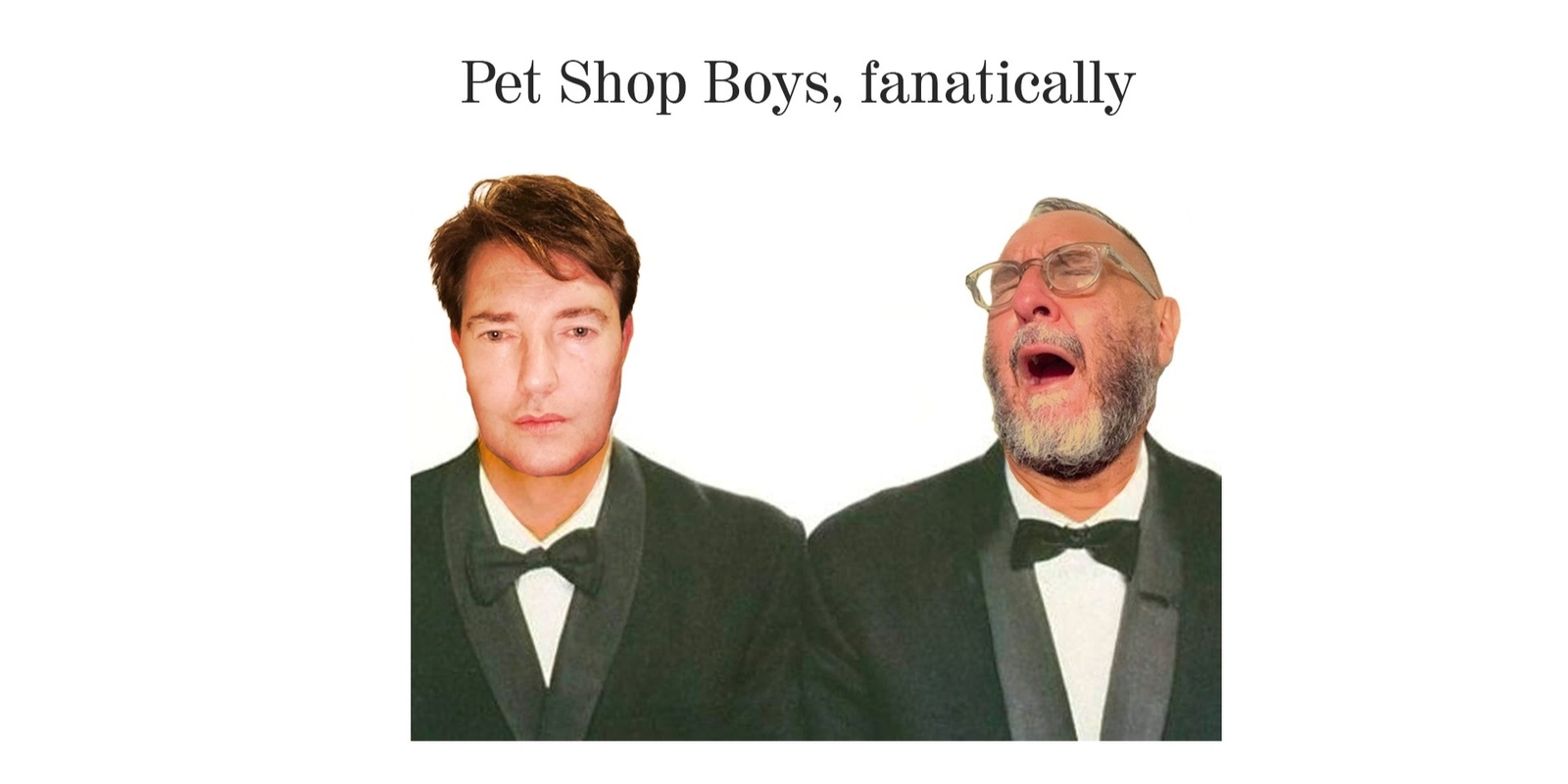 Banner image for Pet Shop Boys, fanatically