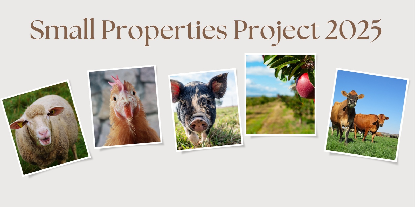 Banner image for Small Properties Project 2025 - expressions of interest