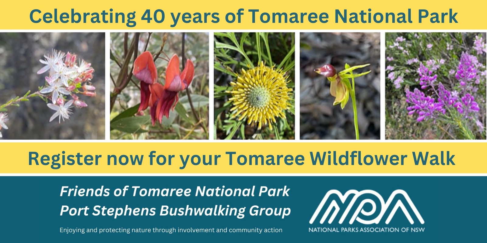 Banner image for Tomaree Wildflower Walks 2024