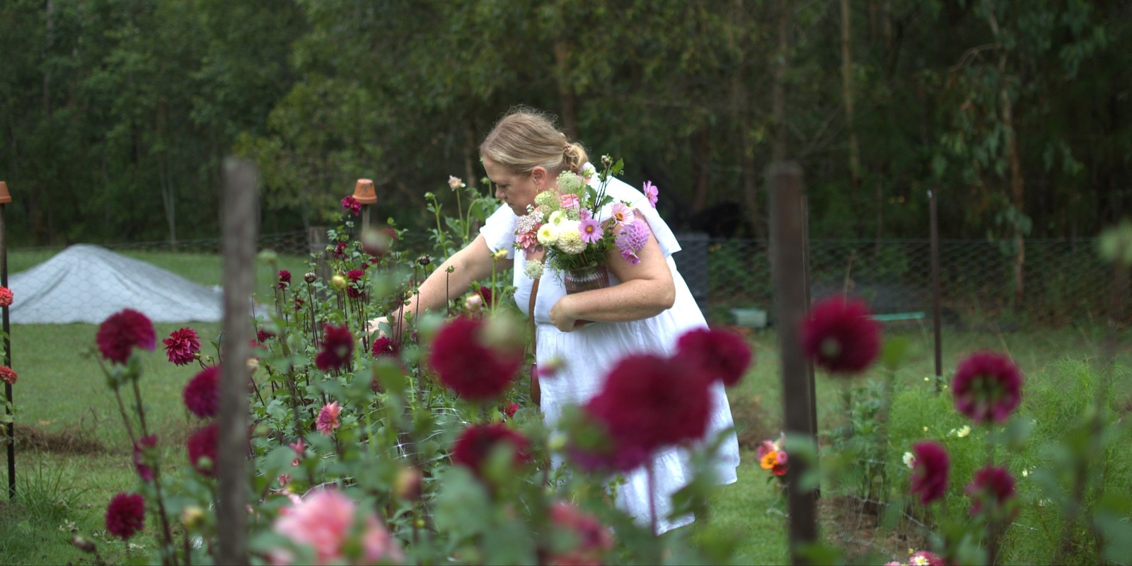 Banner image for Flower Picking Session - January 11th