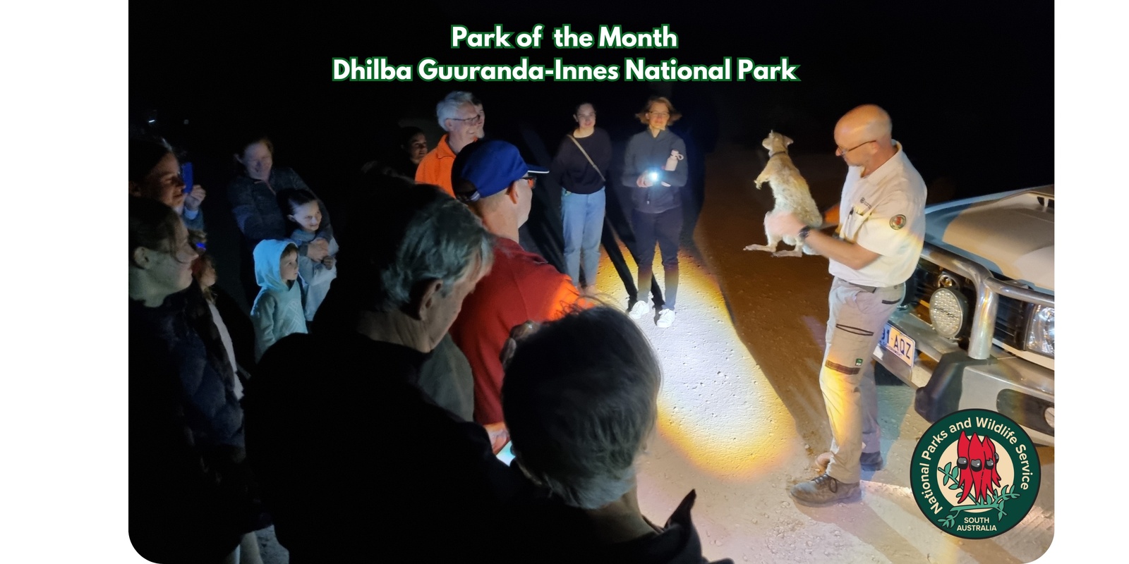 Banner image for Wallabies after dark: Ranger-guided Night Walk