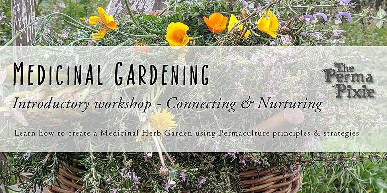 Banner image for Medicinal Gardening - Intro 