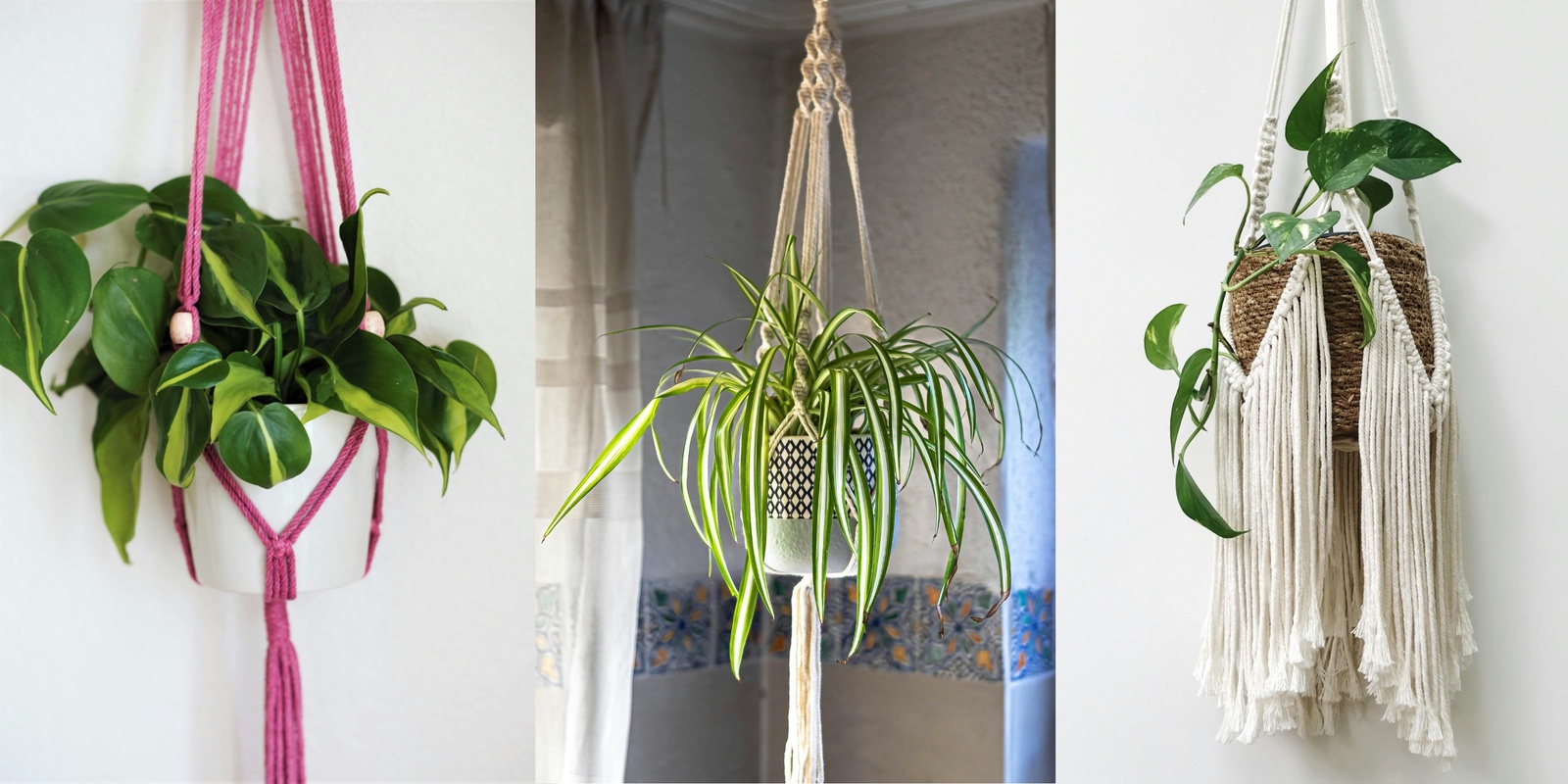 Banner image for Easy Peasy Macrame Pot Plant Hanger with Maria