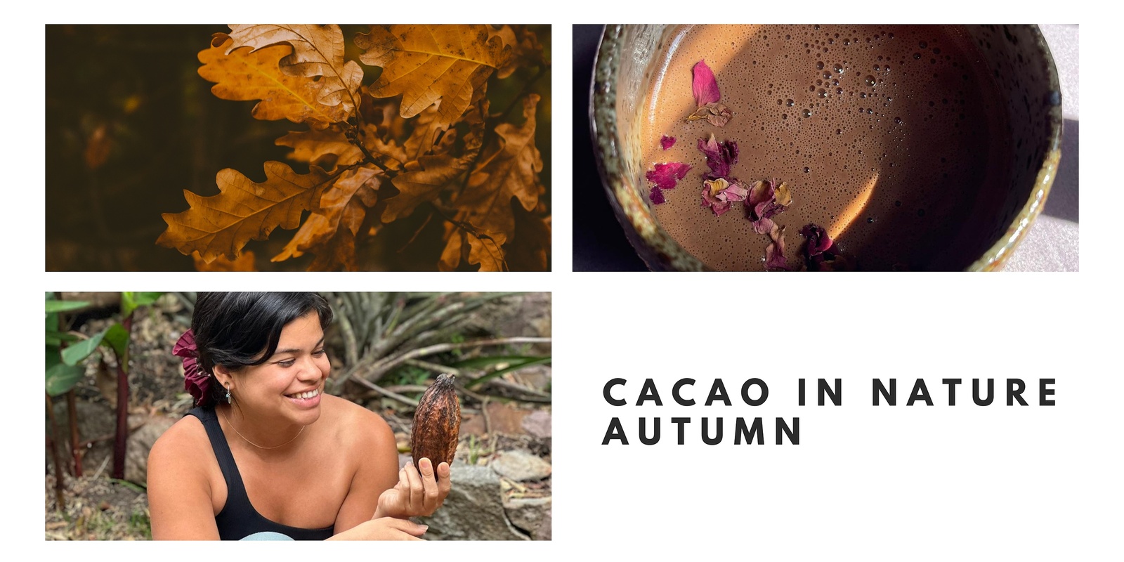 Banner image for CACAO IN NATURE - Autumn 