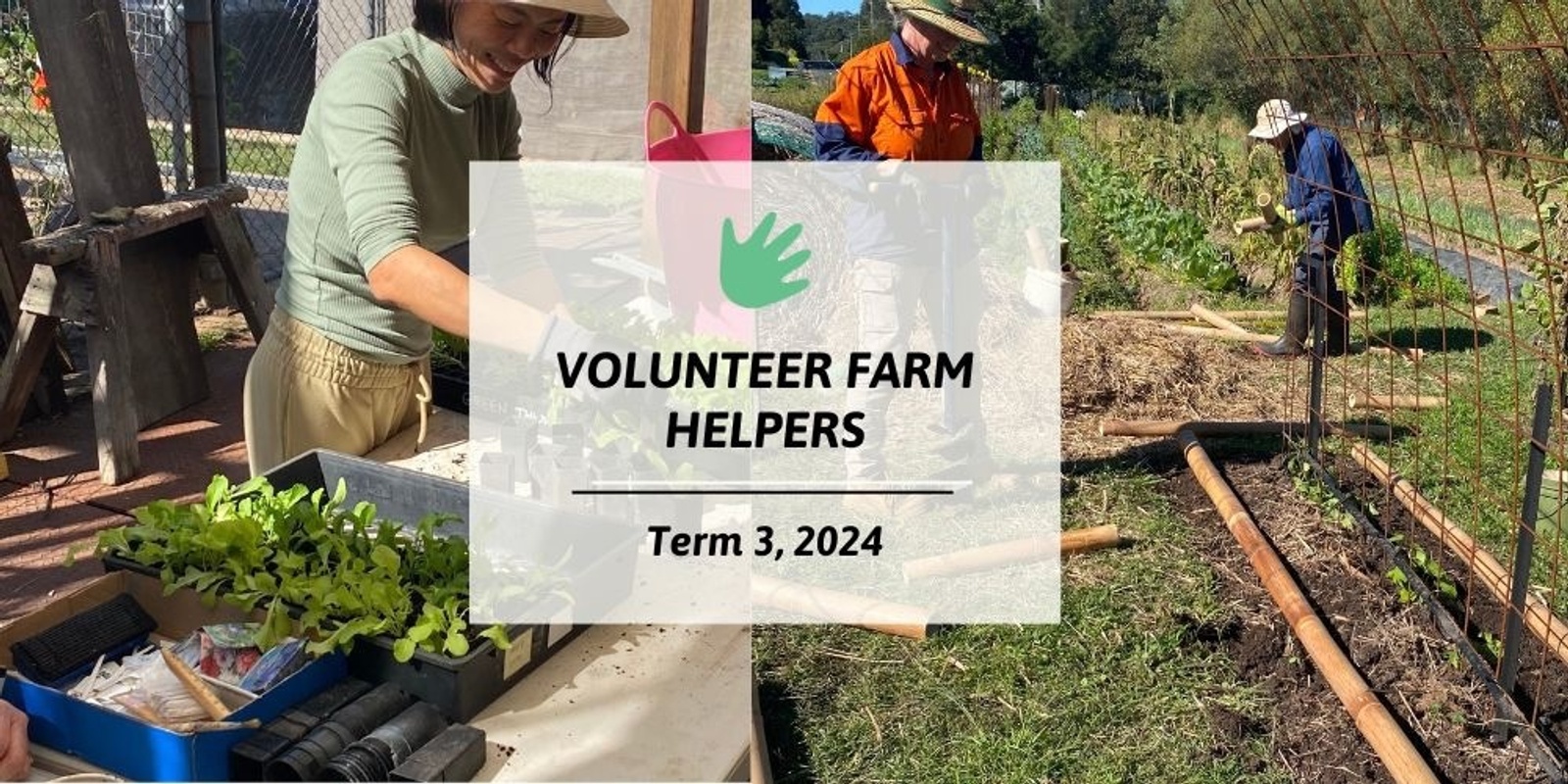 Banner image for Volunteer Farm Helpers: Tues - Wed - Sat 🌿 👩‍🌾