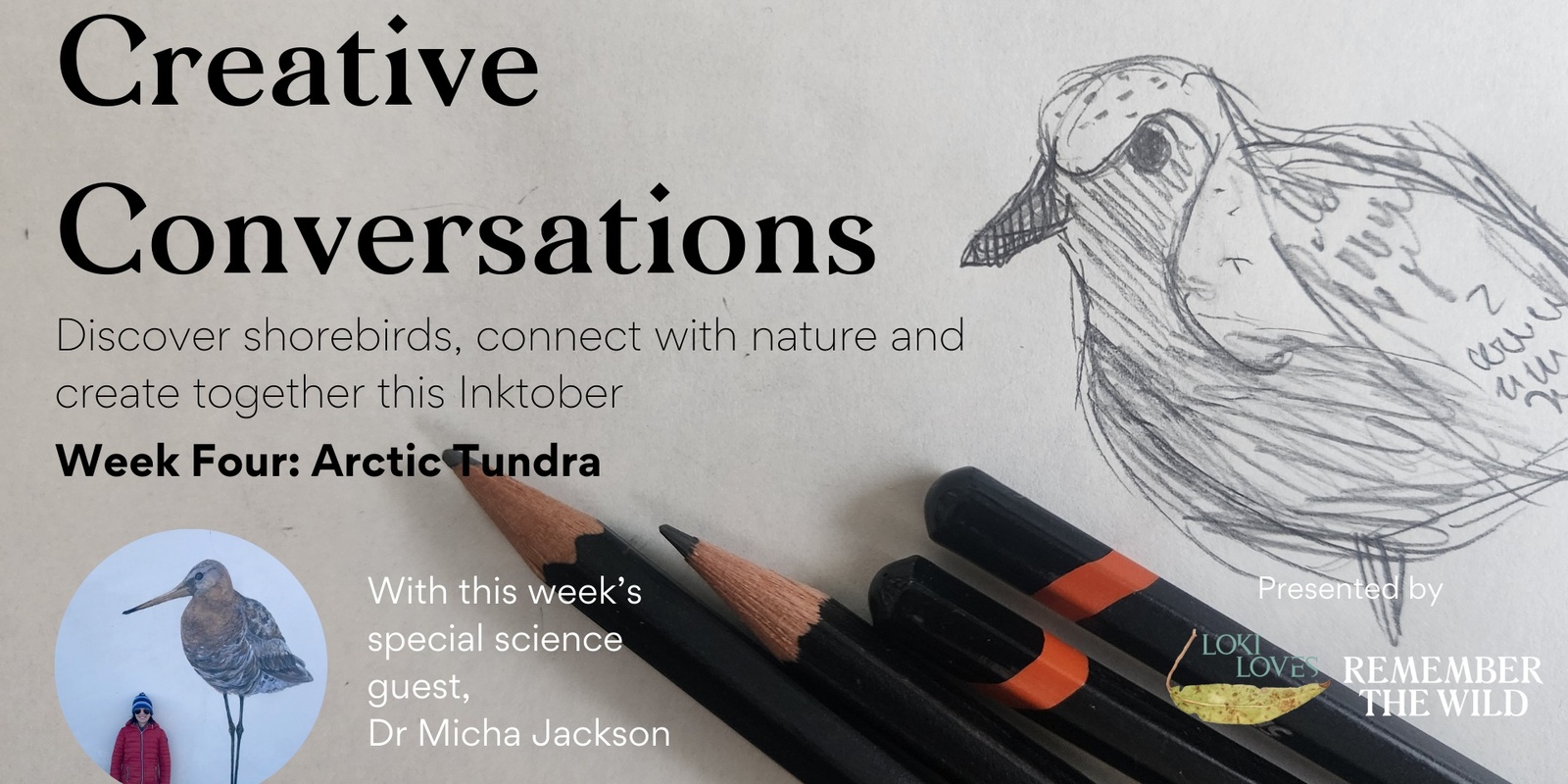 Banner image for Inktober Creative Conversations: Learn and Draw Shorebirds in the Arctic Tundra