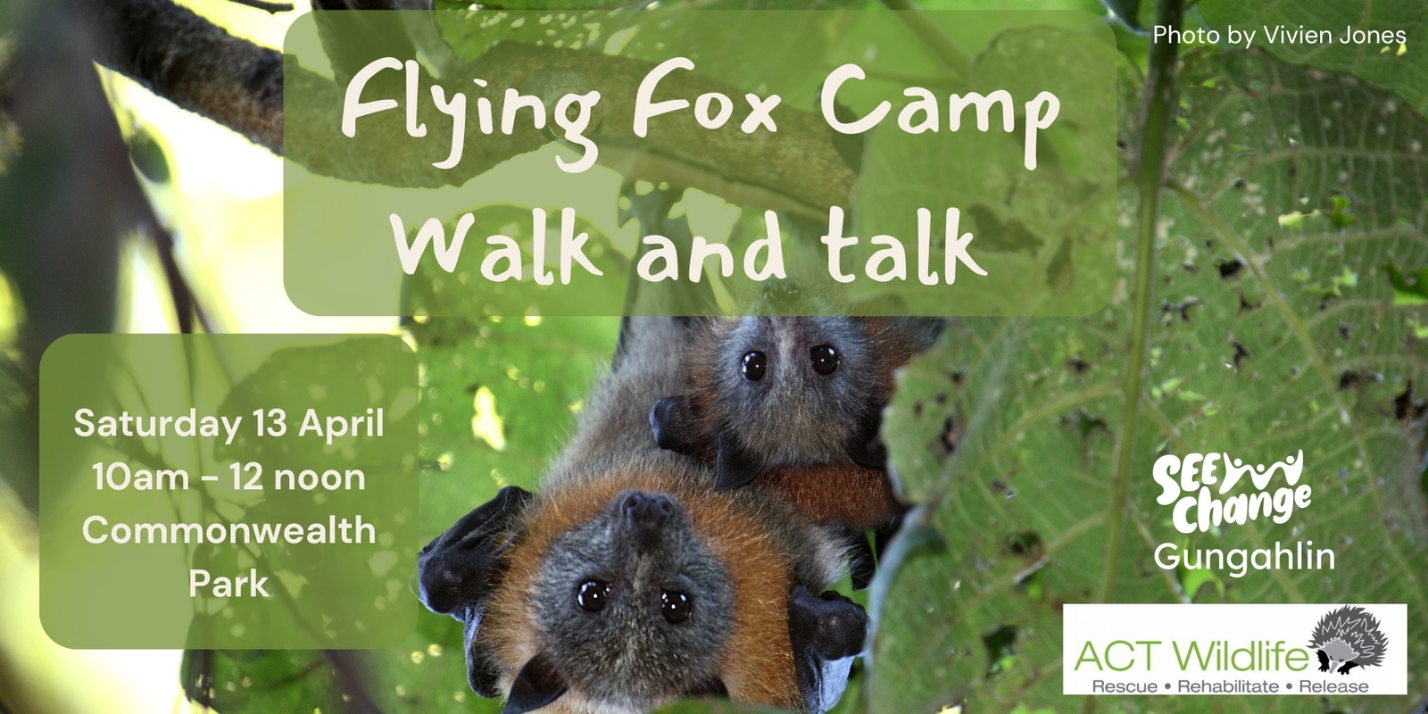 Banner image for Flying Fox walk and talk