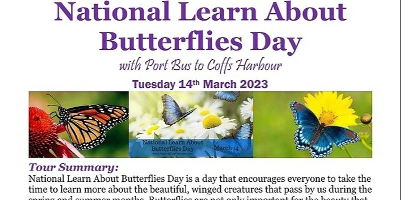 NATIONAL LEARN ABOUT BUTTERFLIES DAY - March 14 - National Day