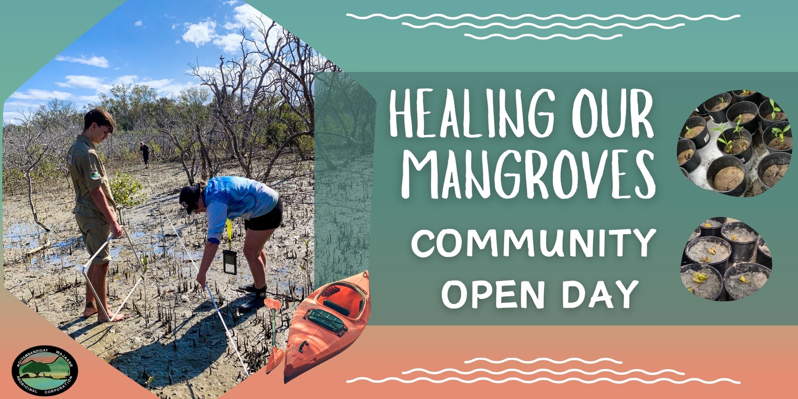 Banner image for Healing our Mangrove - Community Open Day | Saturday 30th Nov 2024