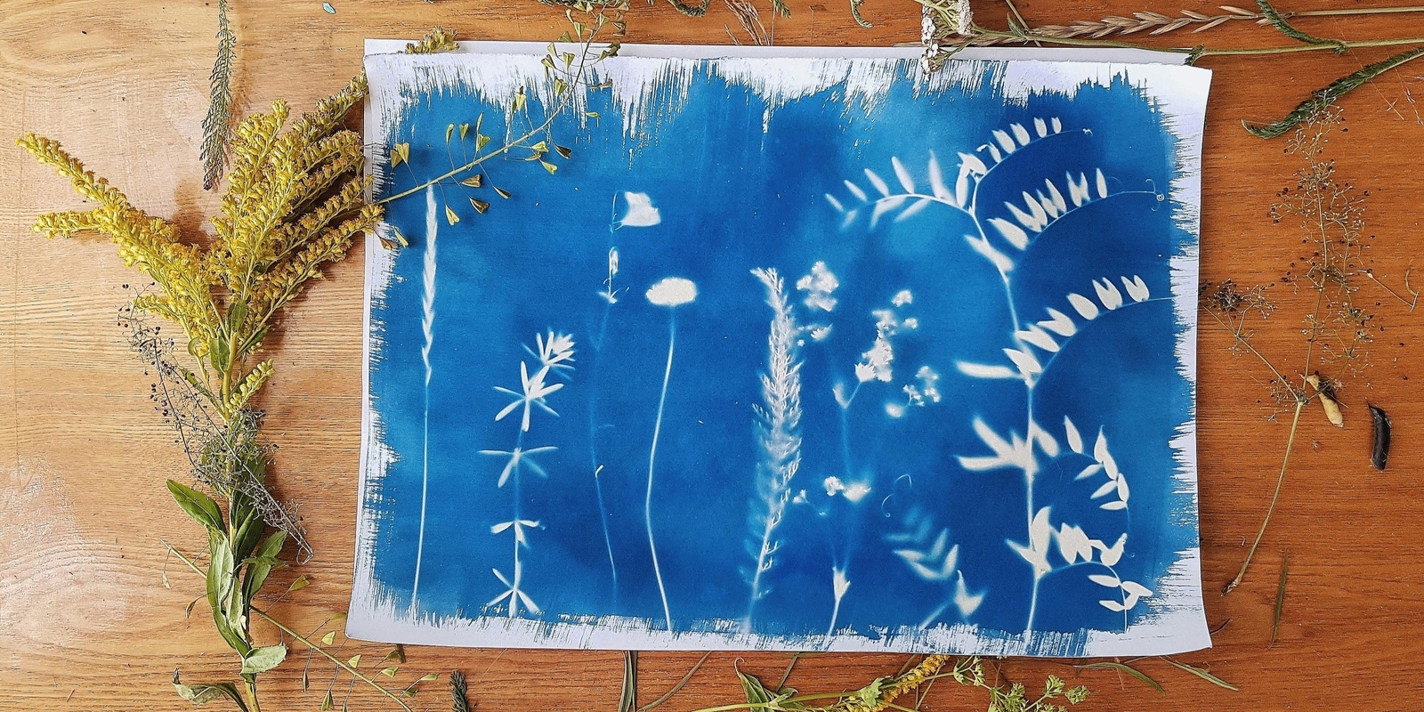 Banner image for Cyanotype Printing