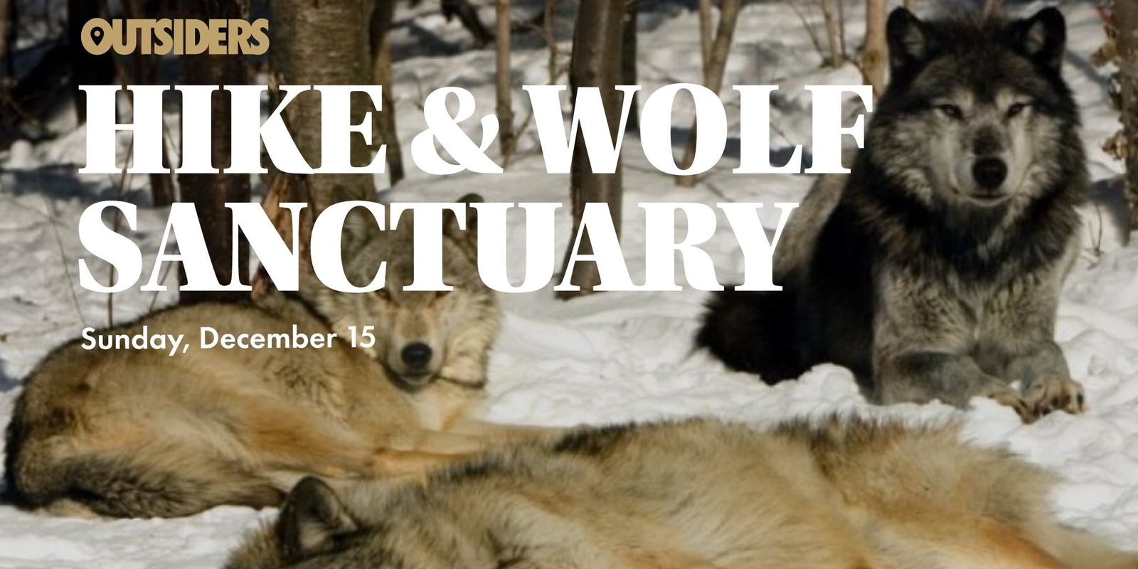 Banner image for Hike & Wolf Sanctuary