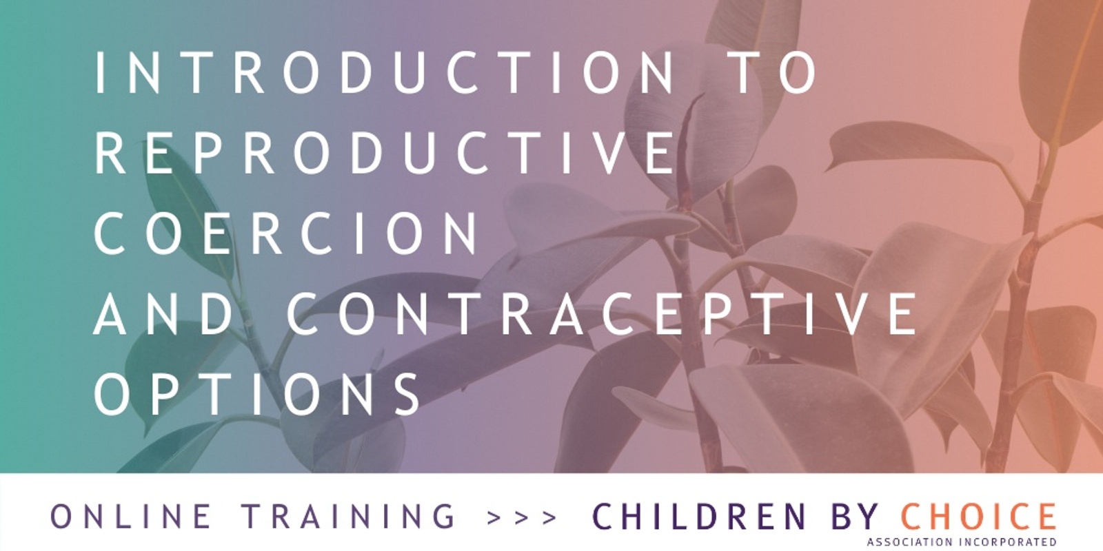 Banner image for  Introduction to Reproductive coercion, contraceptive options & Applied Practice