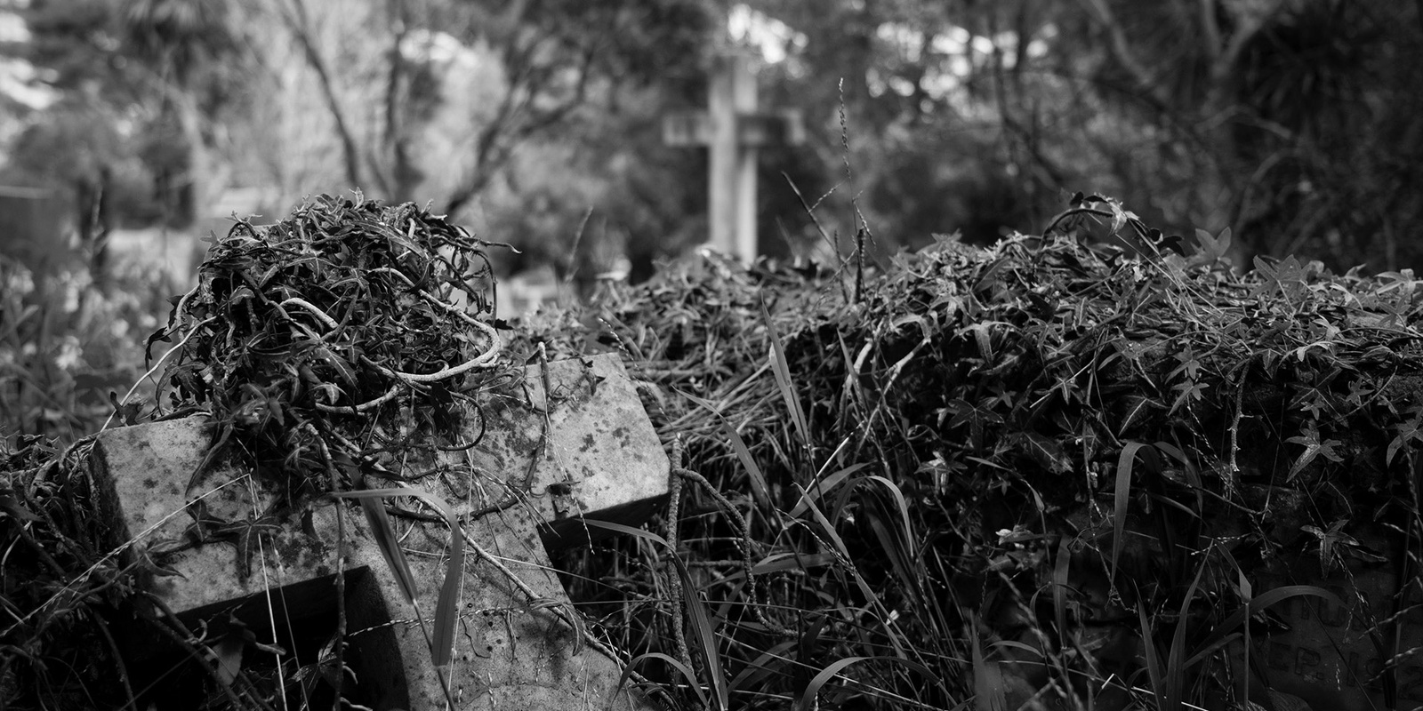 Banner image for Friends of Karori Cemetery - Wellington Heritage Festival: Accidentally Killed Tour