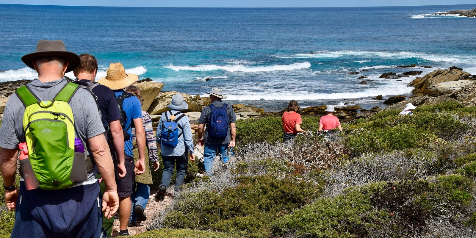 Banner image for  Walk with the Rangers 