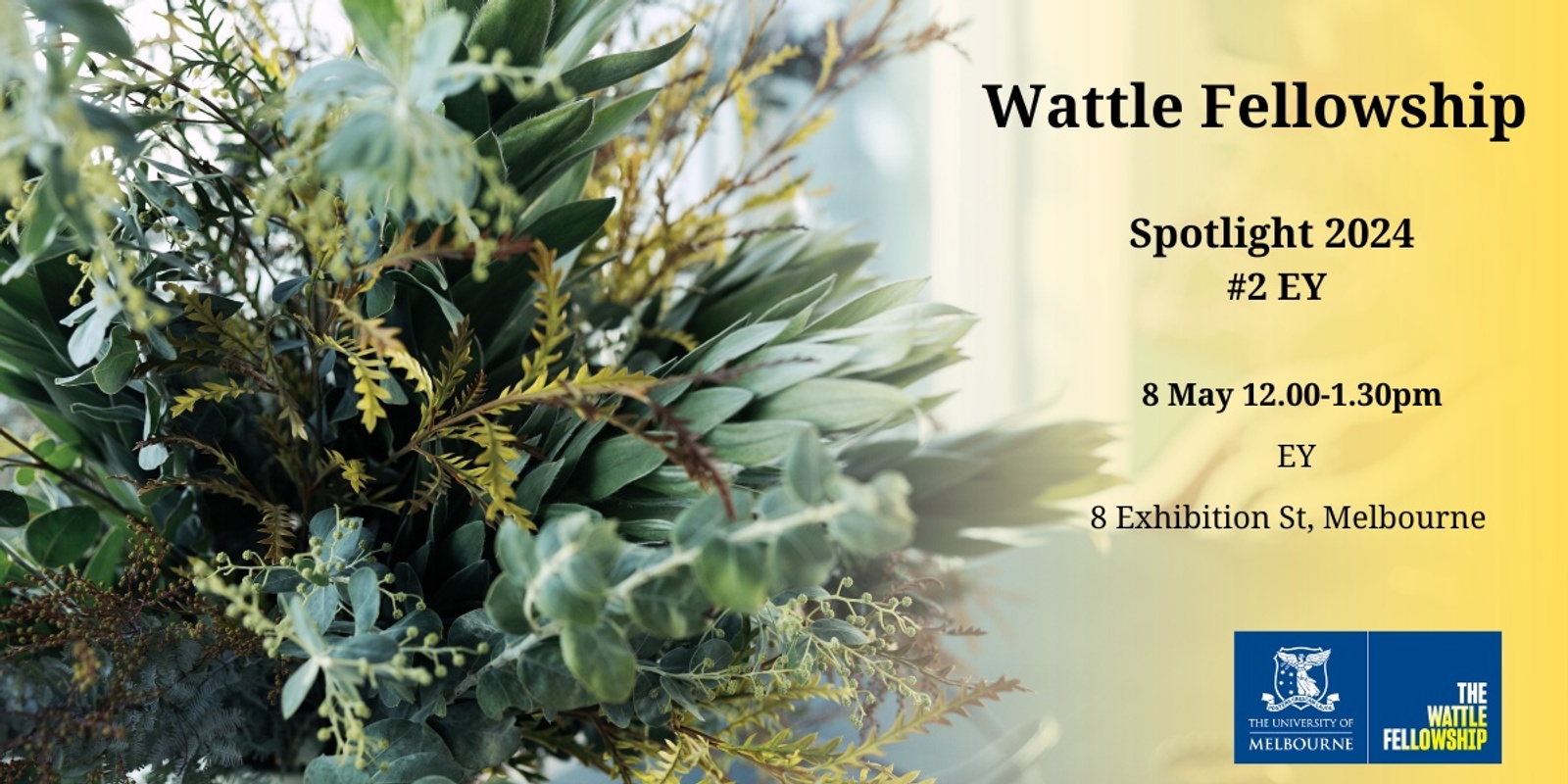 Banner image for Wattle Fellowship Spotlight 2 - EY