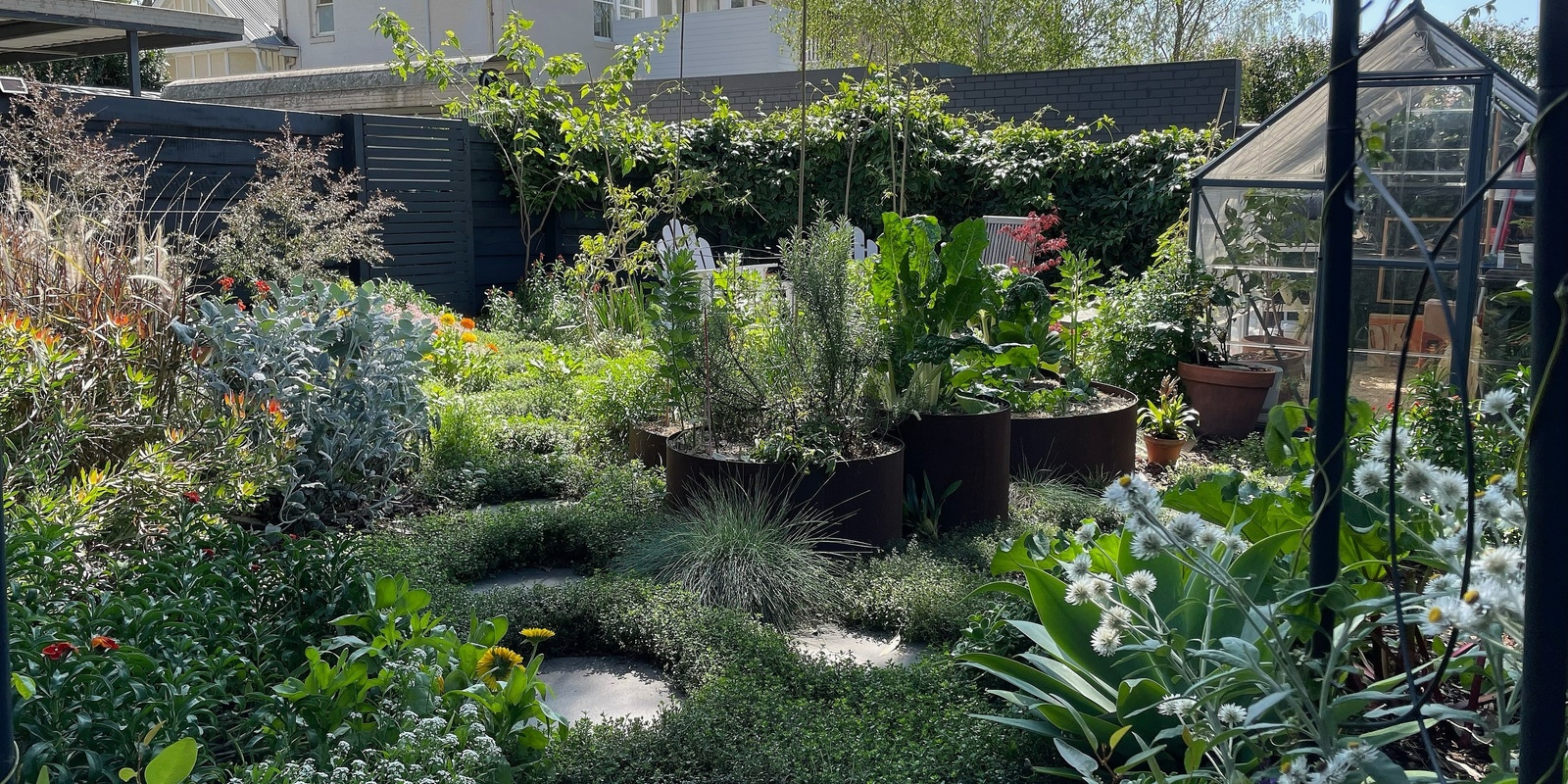 Banner image for Open Garden: Tour Alex's courtyard garden in Malvern East