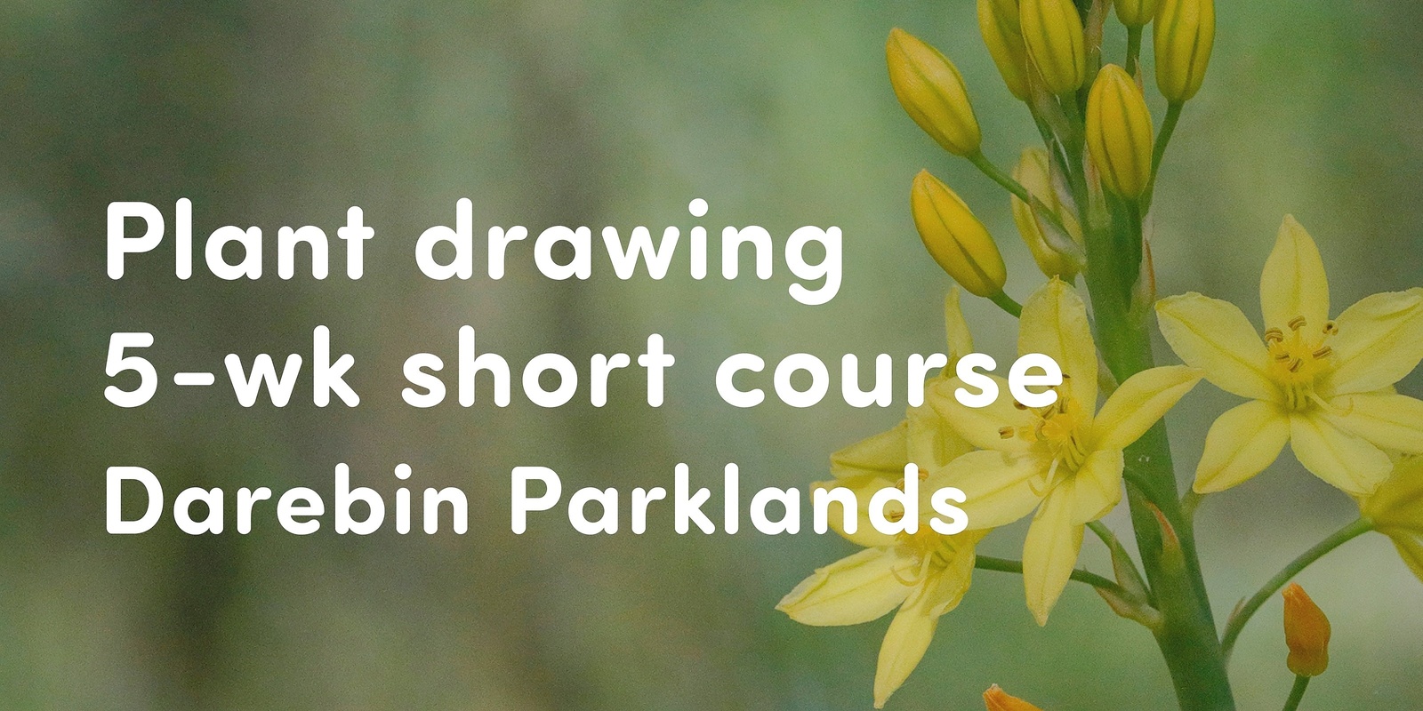 Banner image for Plant drawing short course 🌿 Darebin Parklands