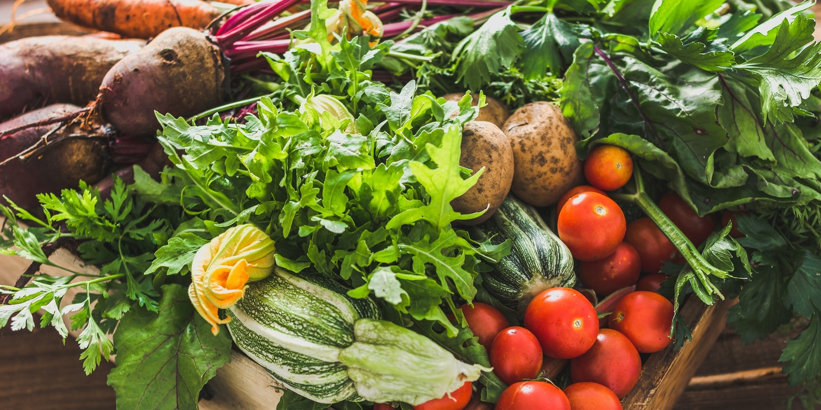 Banner image for Edible Gardening 101 at Louis Joel Arts & Community Centre