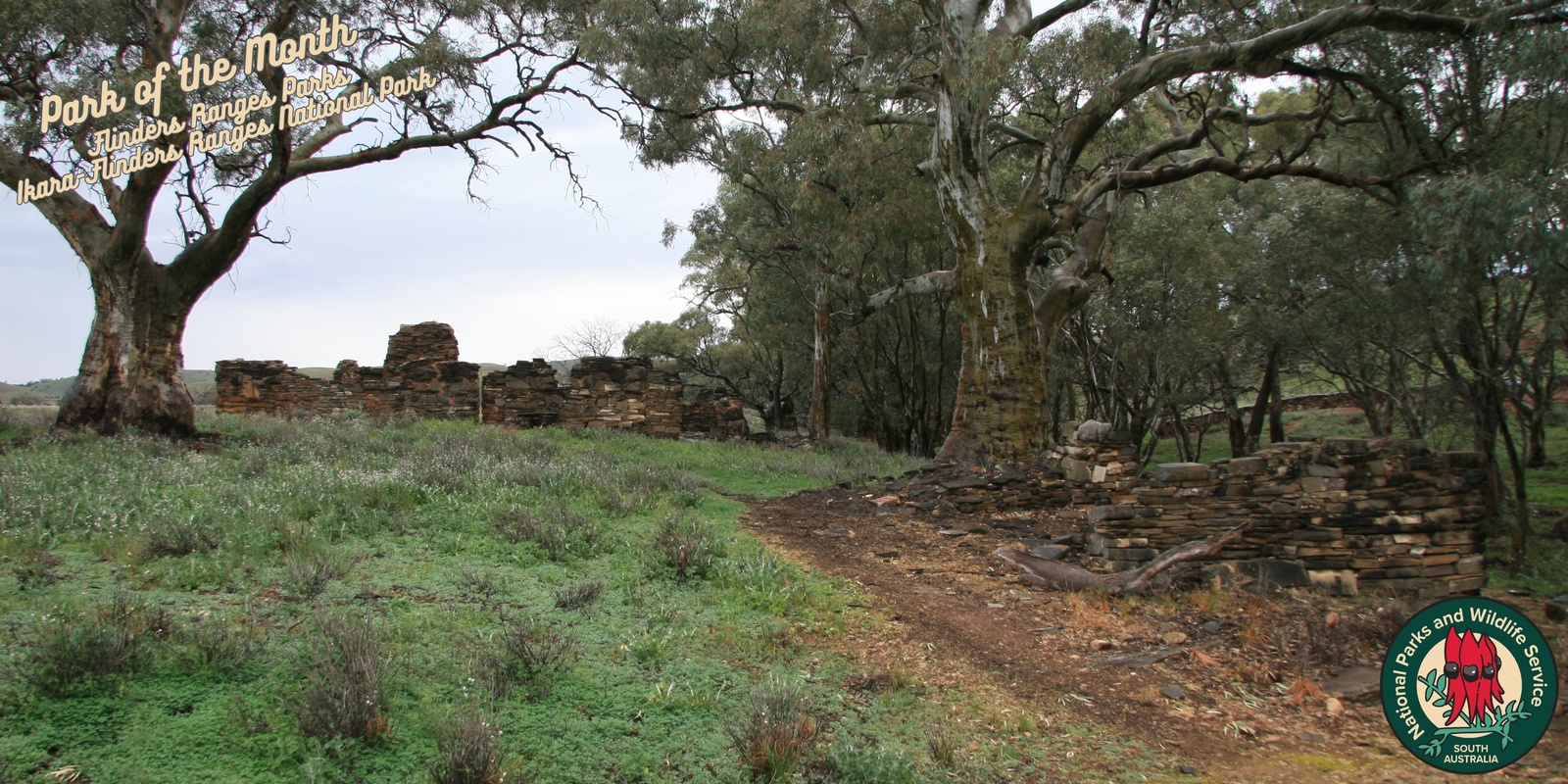 Banner image for Appealinna - A Battle of Wills Heritage Walk