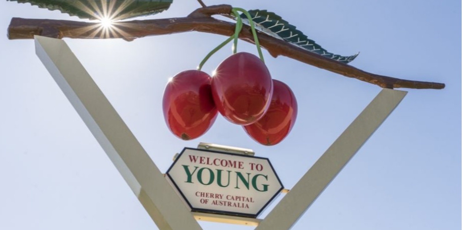 Banner image for Young At Heart: Experience Rolling Plains, Snow-Capped Peaks, an Alpine Roller-Coaster and Cherry Picking