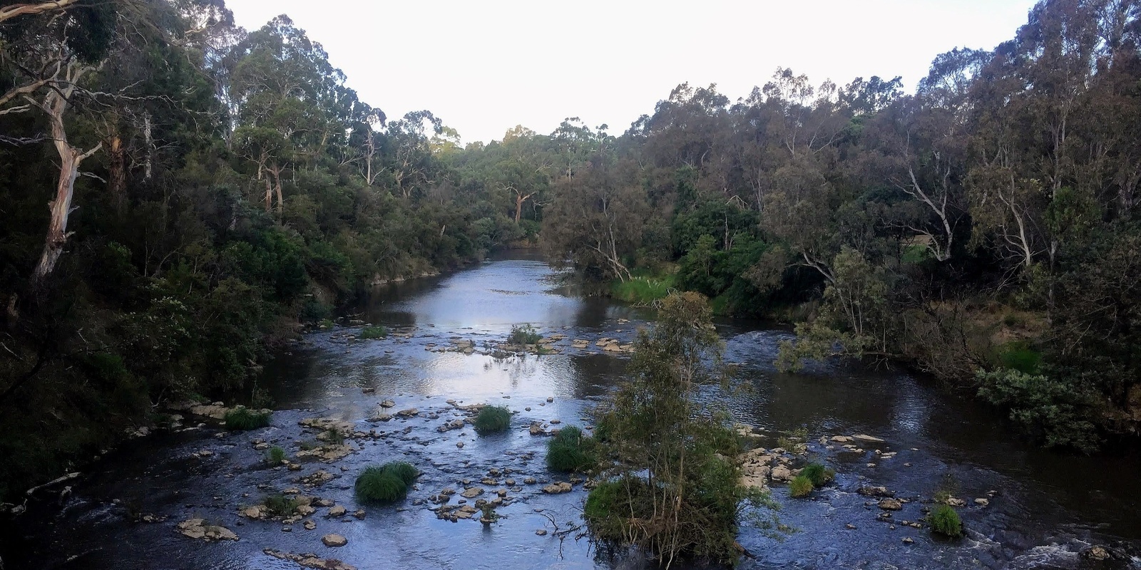 Banner image for Westerfolds local bush walk with wildlife - Grade 2 (Easy)