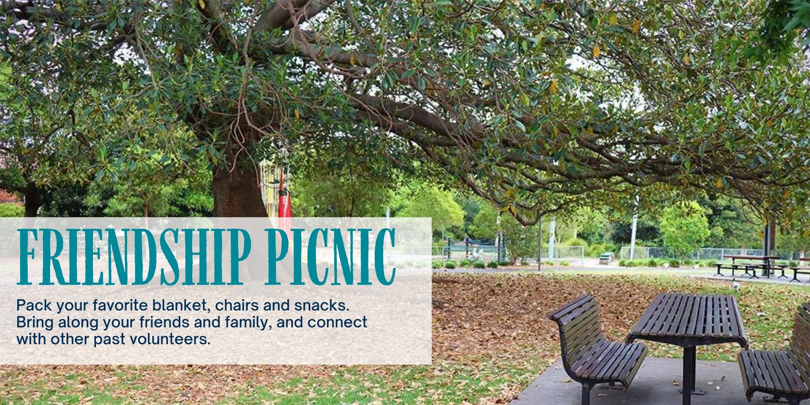Banner image for NSW Alumni Event - Friendship Picnic